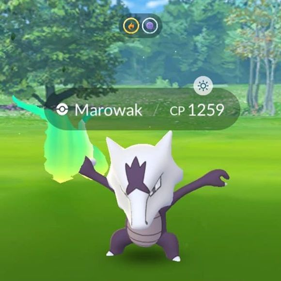 Meet your Posher, Desy - Picture 1 of 1